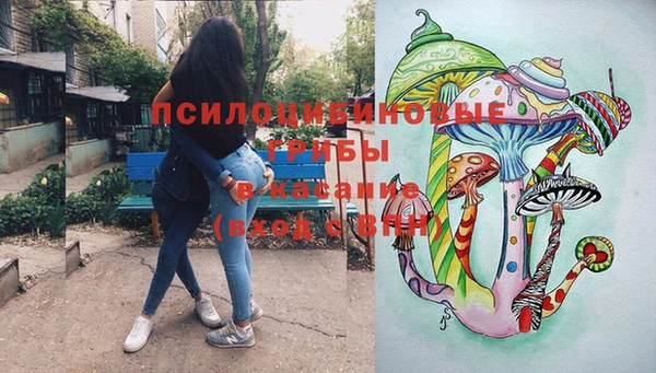 круглые Абаза