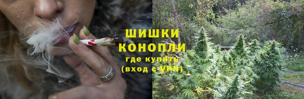круглые Абаза