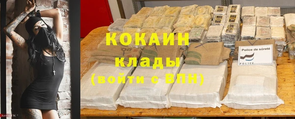 ПСИЛОЦИБИНОВЫЕ ГРИБЫ Абдулино