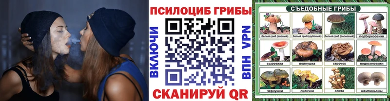 Галлюциногенные грибы GOLDEN TEACHER mega ССЫЛКА Псков